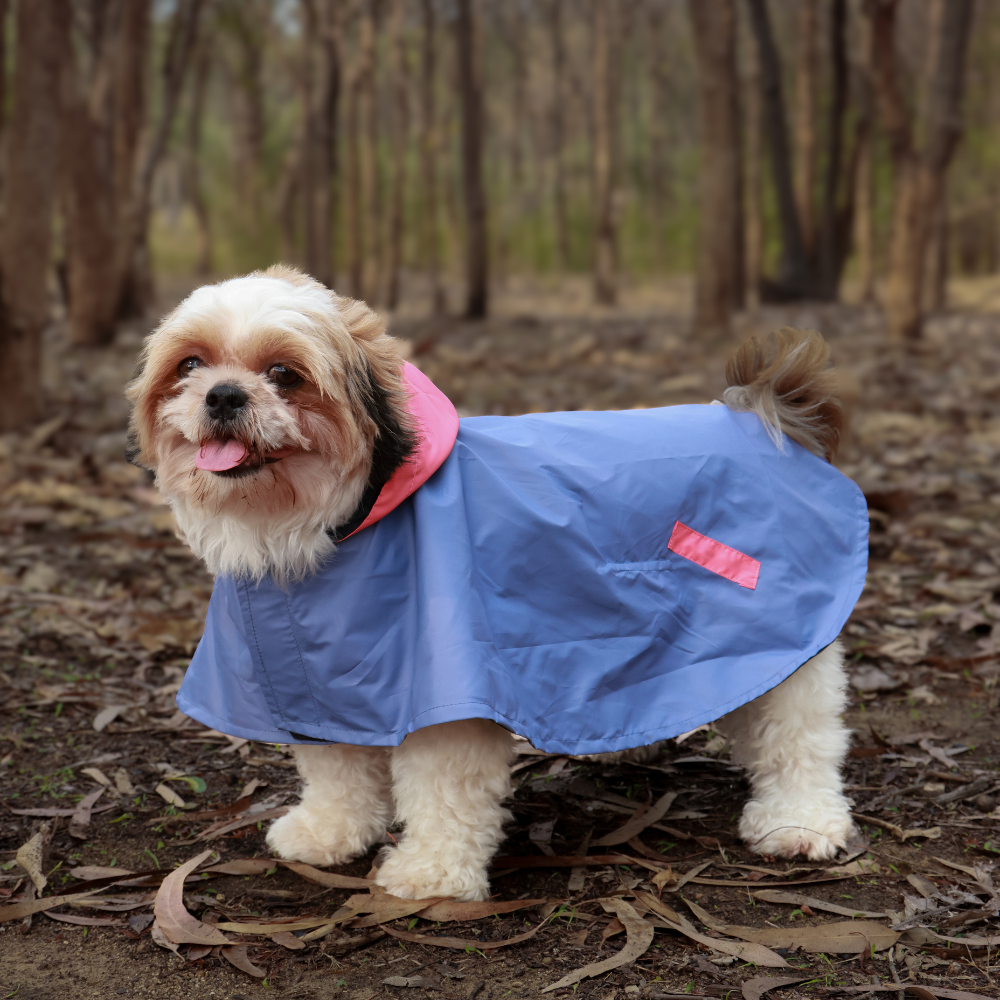Rain Rover Dog Raincoats Pack of 2