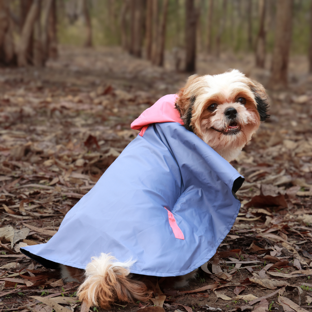 Drizzle Dog Raincoats Pack of 2