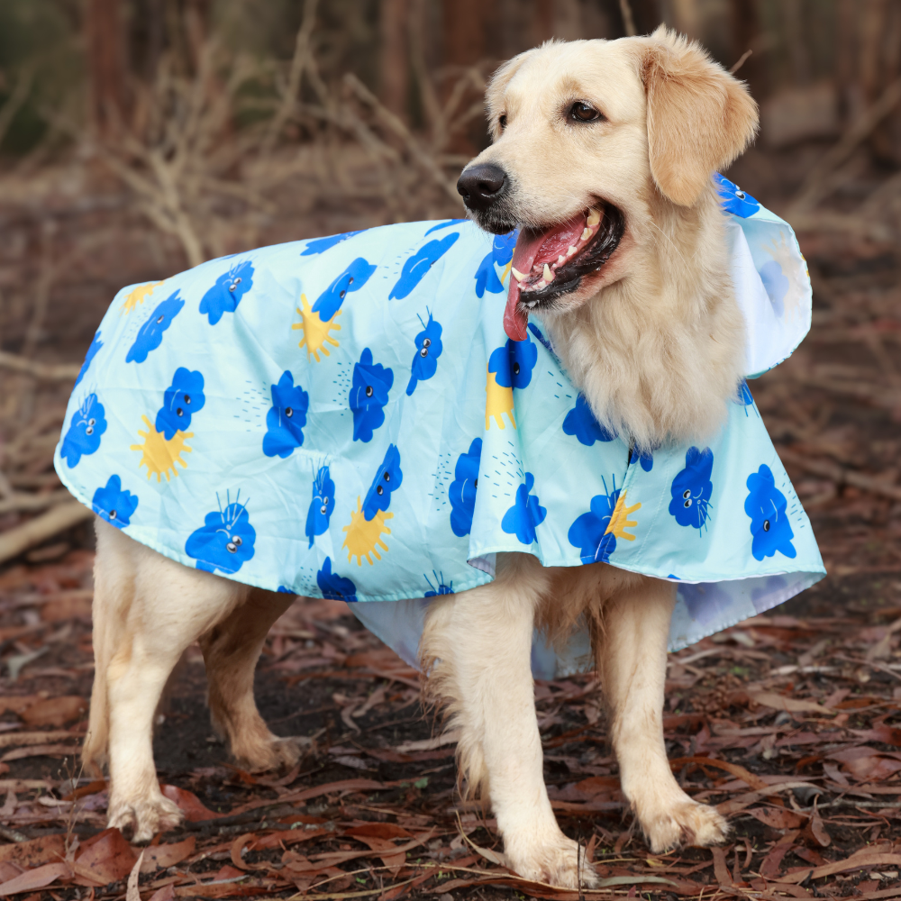 Rain Rebel Dog Raincoats Pack of 2