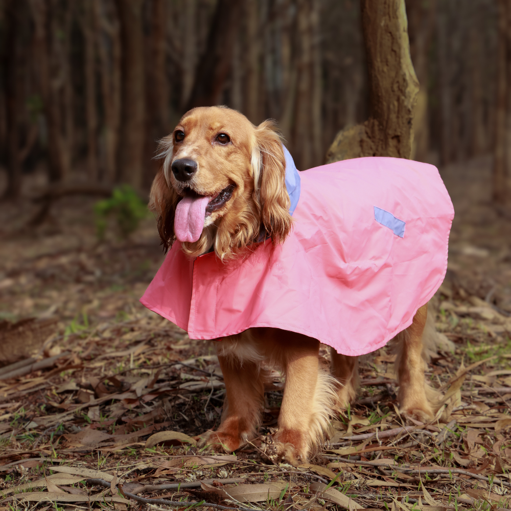 Cape Style Red Blue- Dog Raincoat
