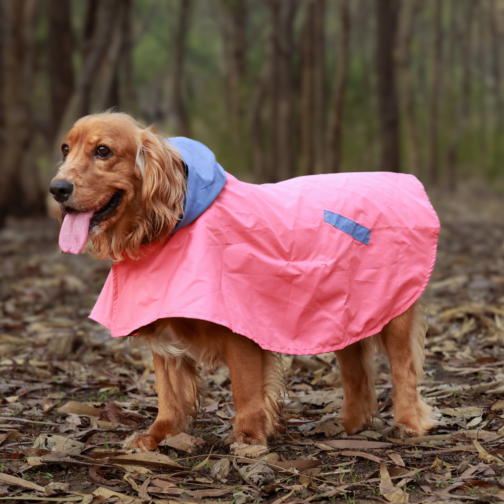 Cape Style Red Blue- Dog Raincoat