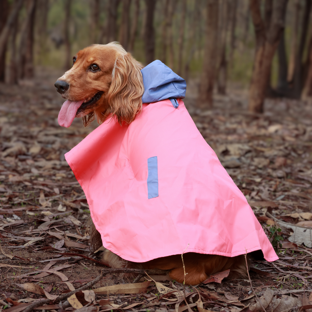Cape Style Red Blue- Dog Raincoat