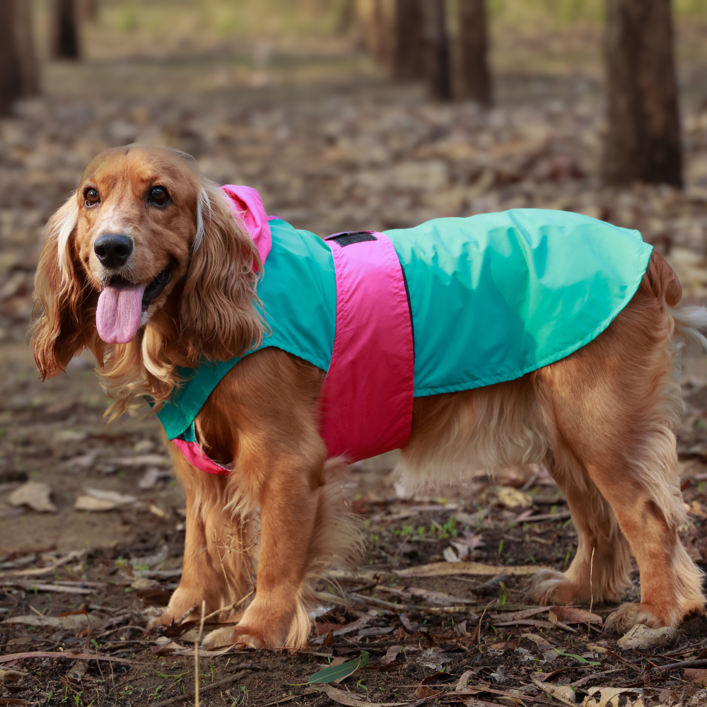 Splash-Proof Aqua Pink- Dog Raincoat