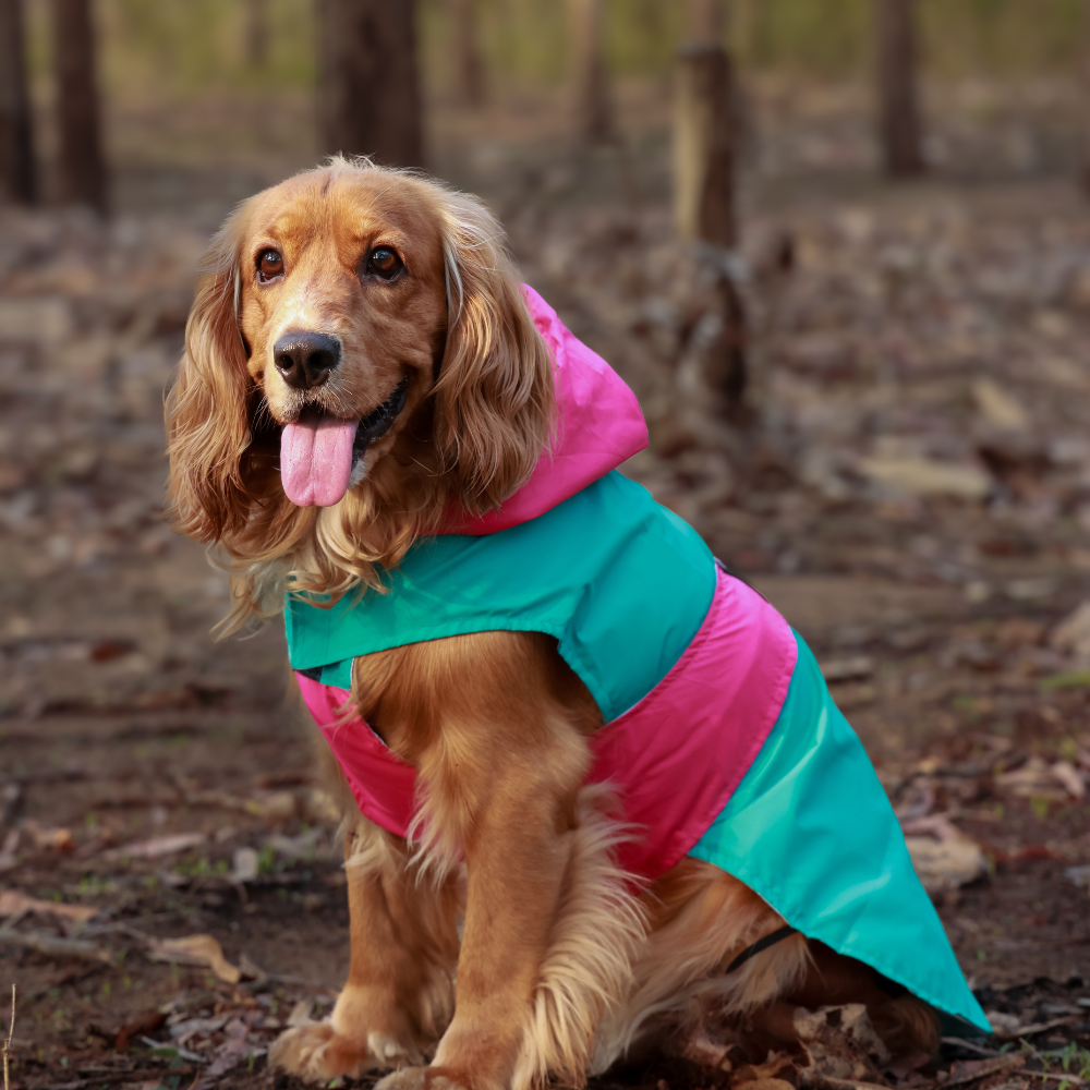 Splash-Proof Aqua Pink- Dog Raincoat