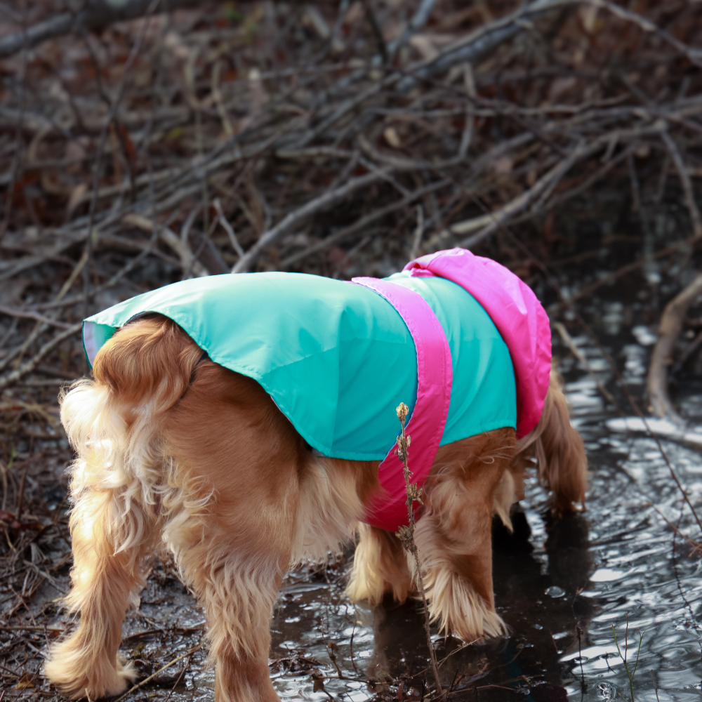 Splash-Proof Aqua Pink- Dog Raincoat