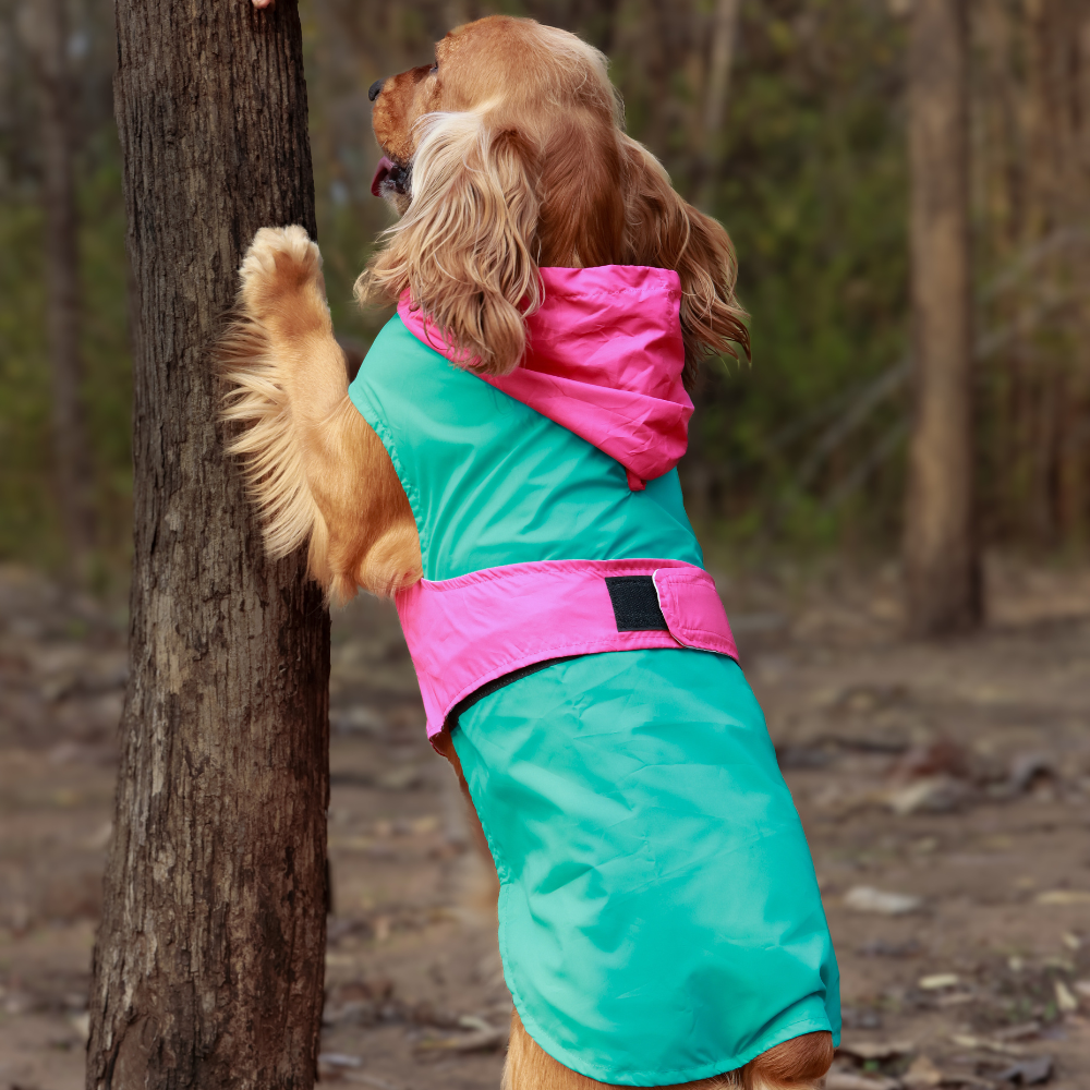 Splash-Proof Aqua Pink- Dog Raincoat