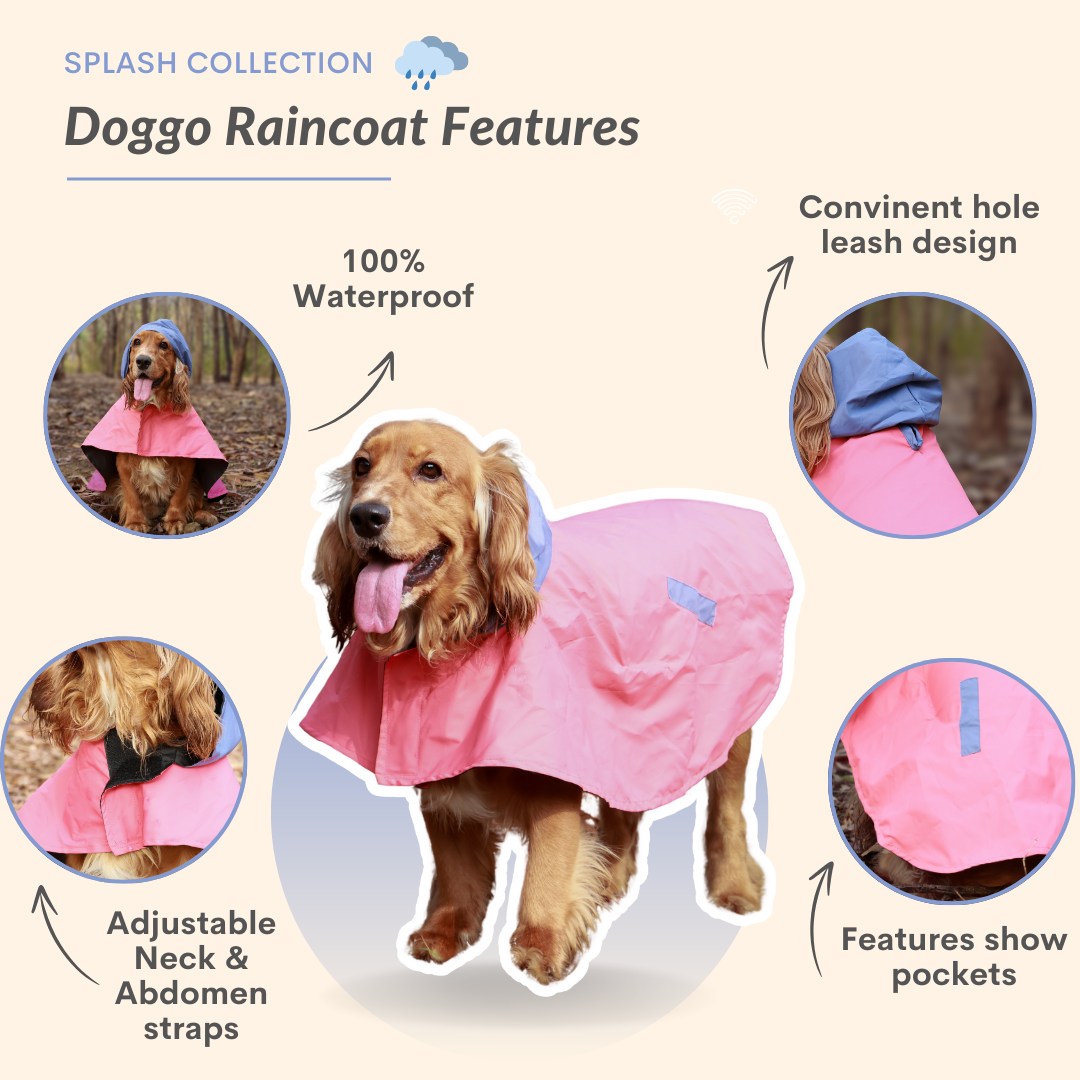 Cape Style Red Blue- Dog Raincoat