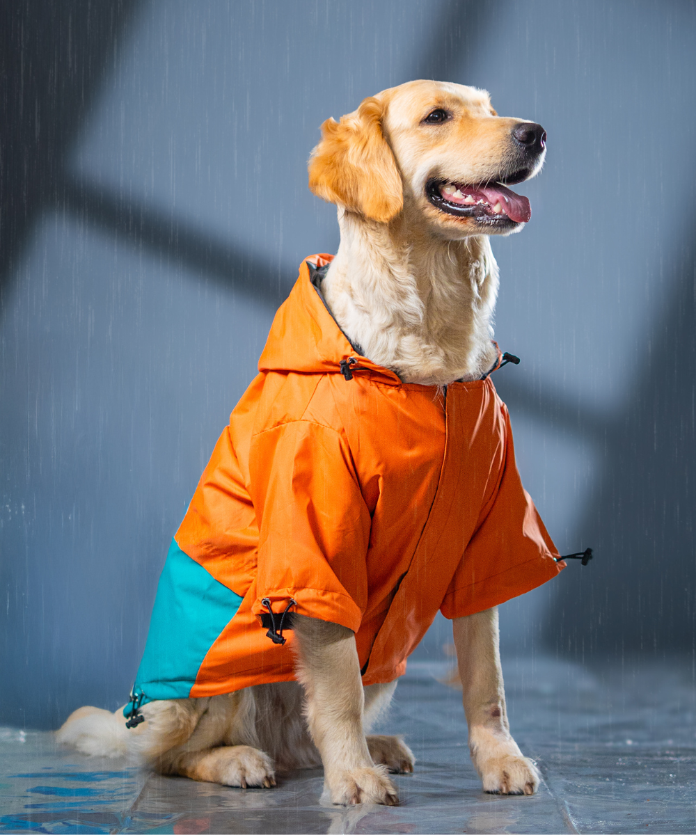 Storm Dog Raincoats Pack of 2