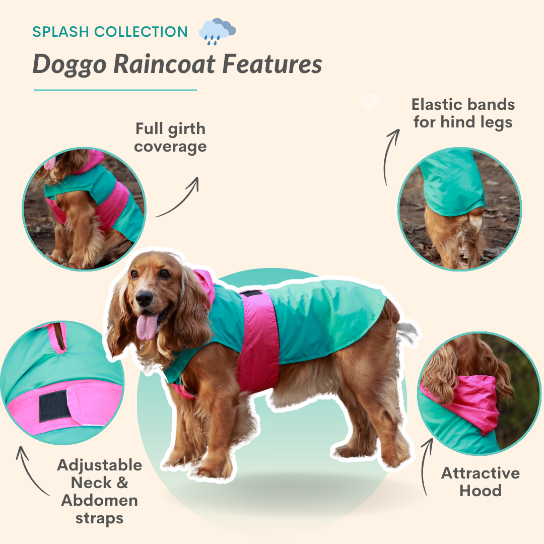 Splash-Proof Aqua Pink- Dog Raincoat