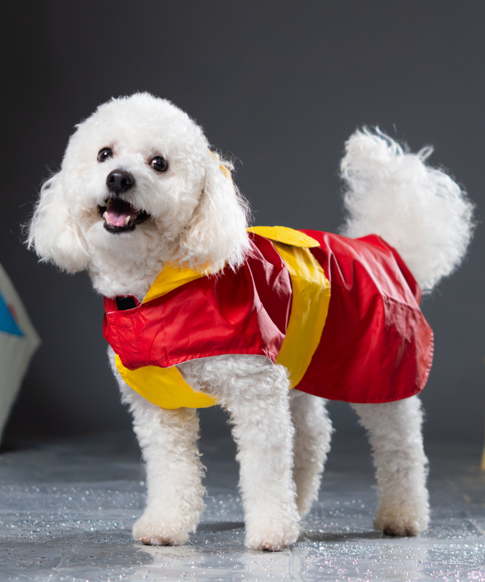 Storm Dog Raincoats Pack of 2
