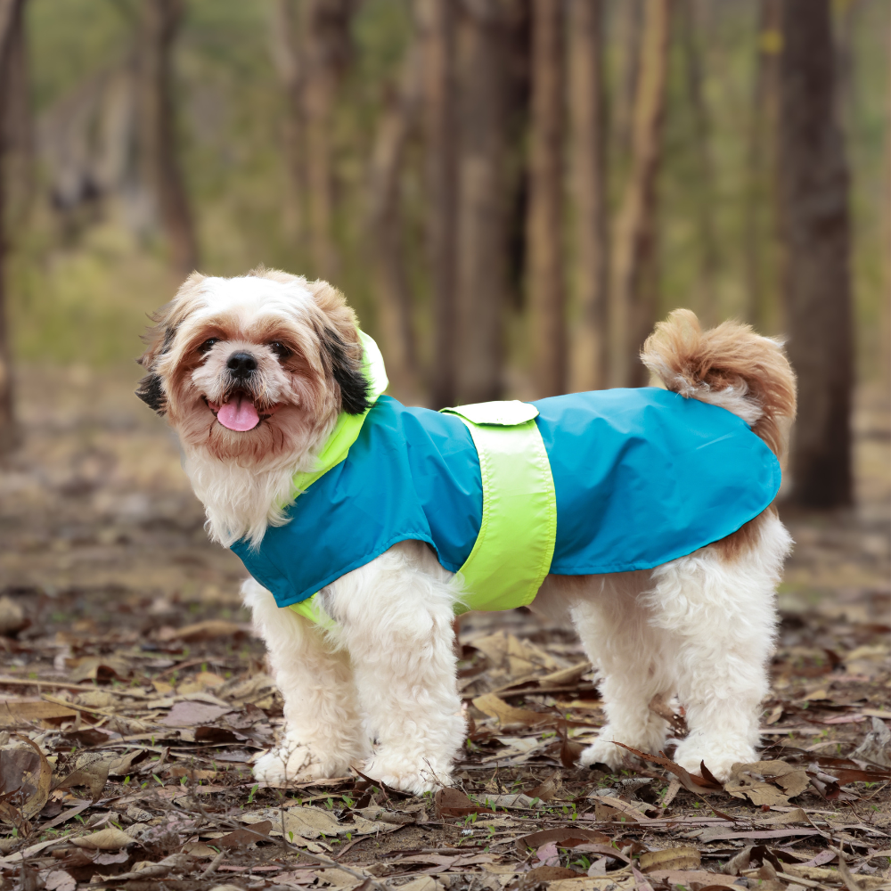 Rain Rover Dog Raincoats Pack of 2