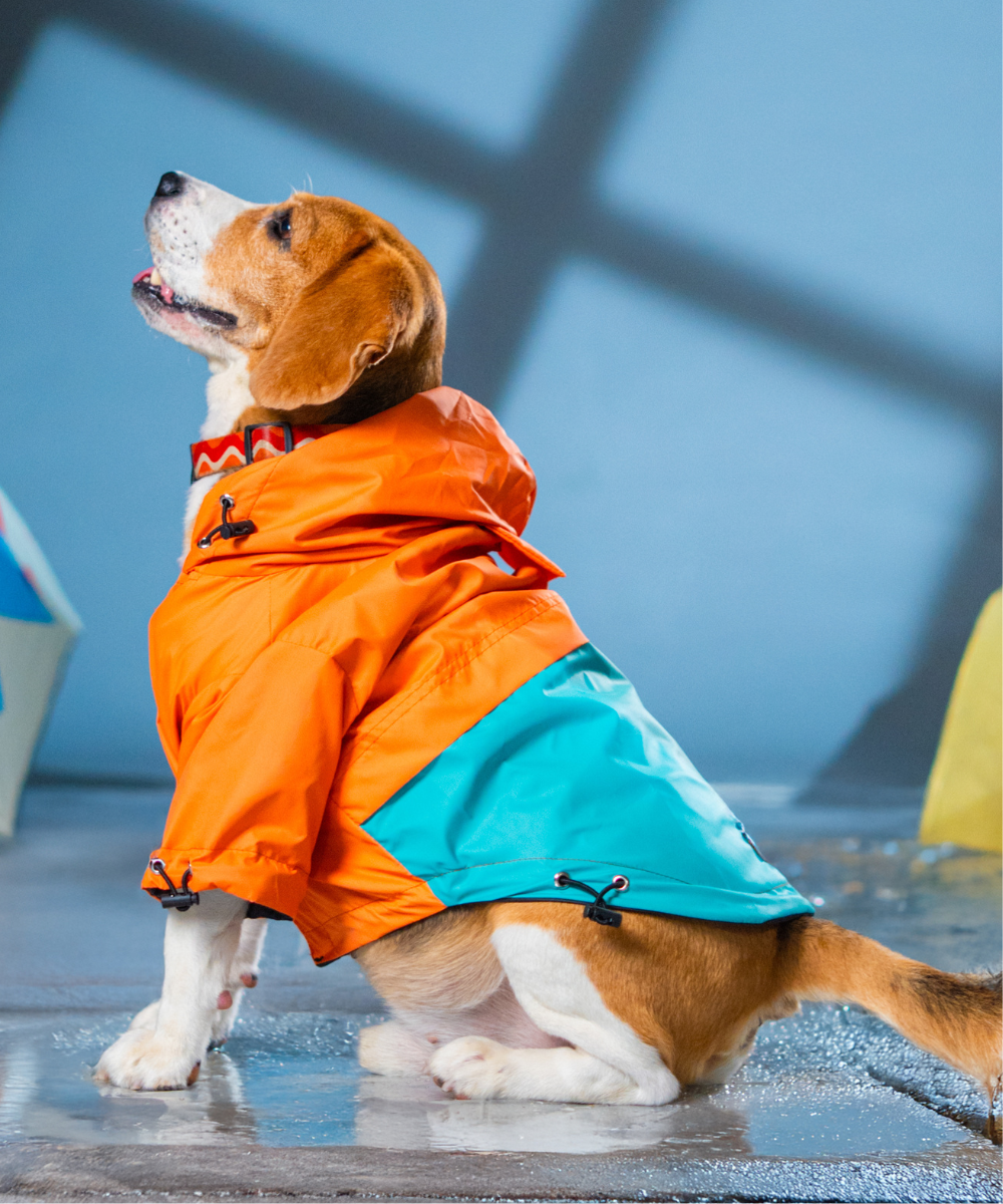Storm Dog Raincoats Pack of 2