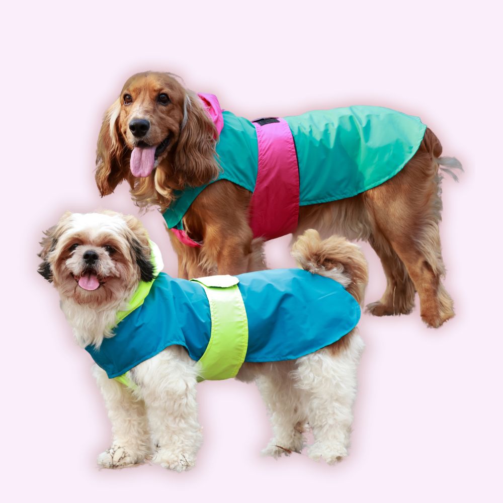 Mudventure Dog Raincoat Pack of 2