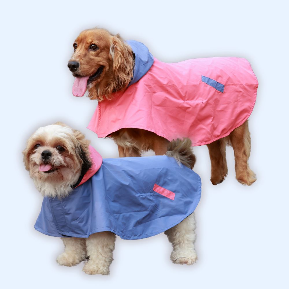 Drizzle Dog Raincoats Pack of 2