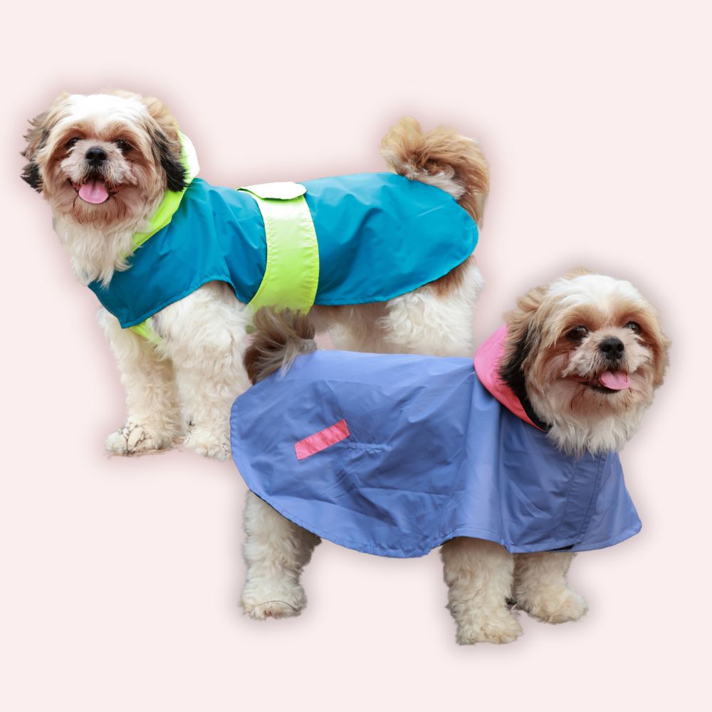 Rain Rover Dog Raincoats Pack of 2