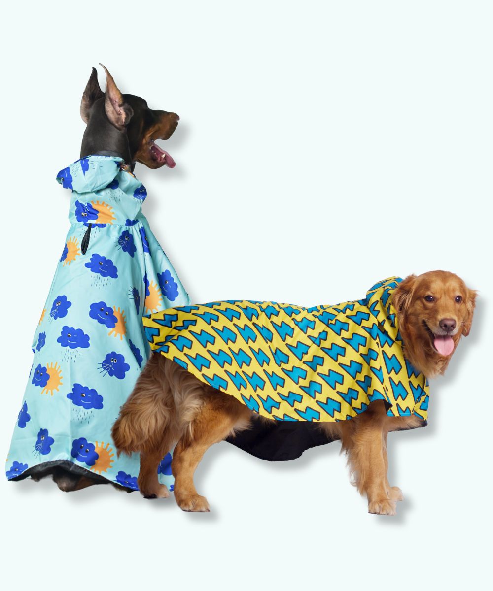 Rain Rebel Dog Raincoats Pack of 2