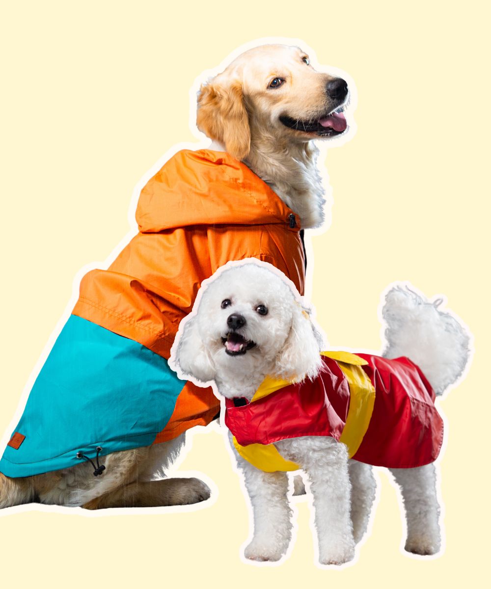 Storm Dog Raincoats Pack of 2