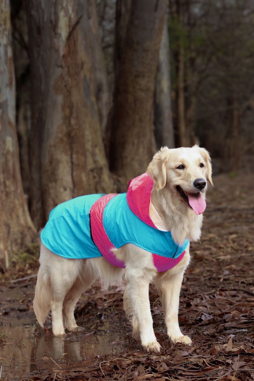 Splash-Proof Aqua Pink- Dog Raincoat